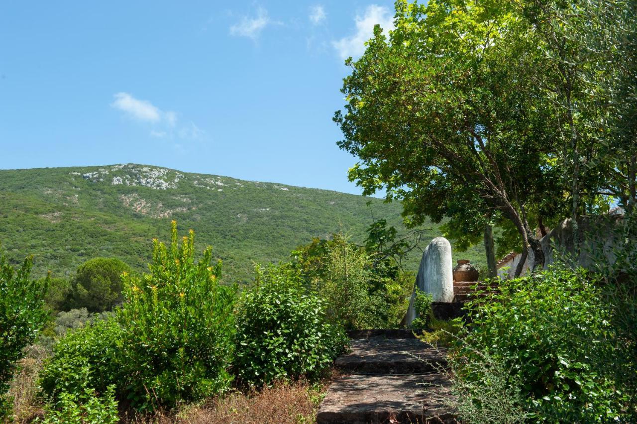 세심브라 Quinta Da Arrabida 빌라 외부 사진