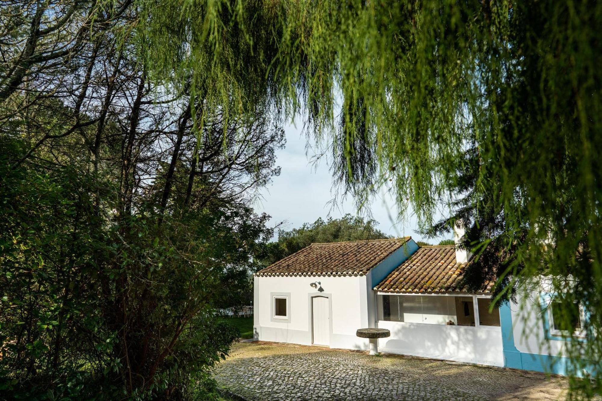 세심브라 Quinta Da Arrabida 빌라 객실 사진